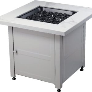 Endless Summer Propane Fire Pit - GAD15269G