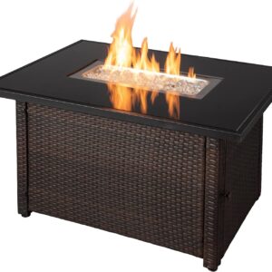 Endless Summer Propane Fire Pit - GAD17400SP
