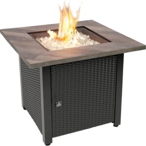 Endless Summer Propane Fire Pit - GAD15324ES