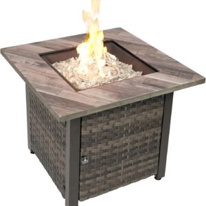 Endless Summer Propane Fire Pit - GAD15326ES